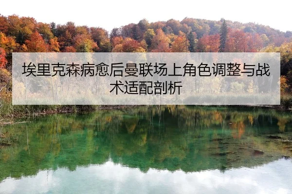 埃里克森病愈后曼联场上角色调整与战术适配剖析